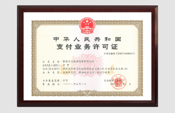 银盛支付成功续展牌照